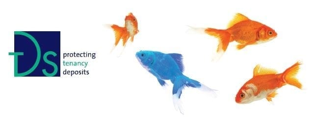 WHAT HAPPENS WITH YOUR DEPOSIT