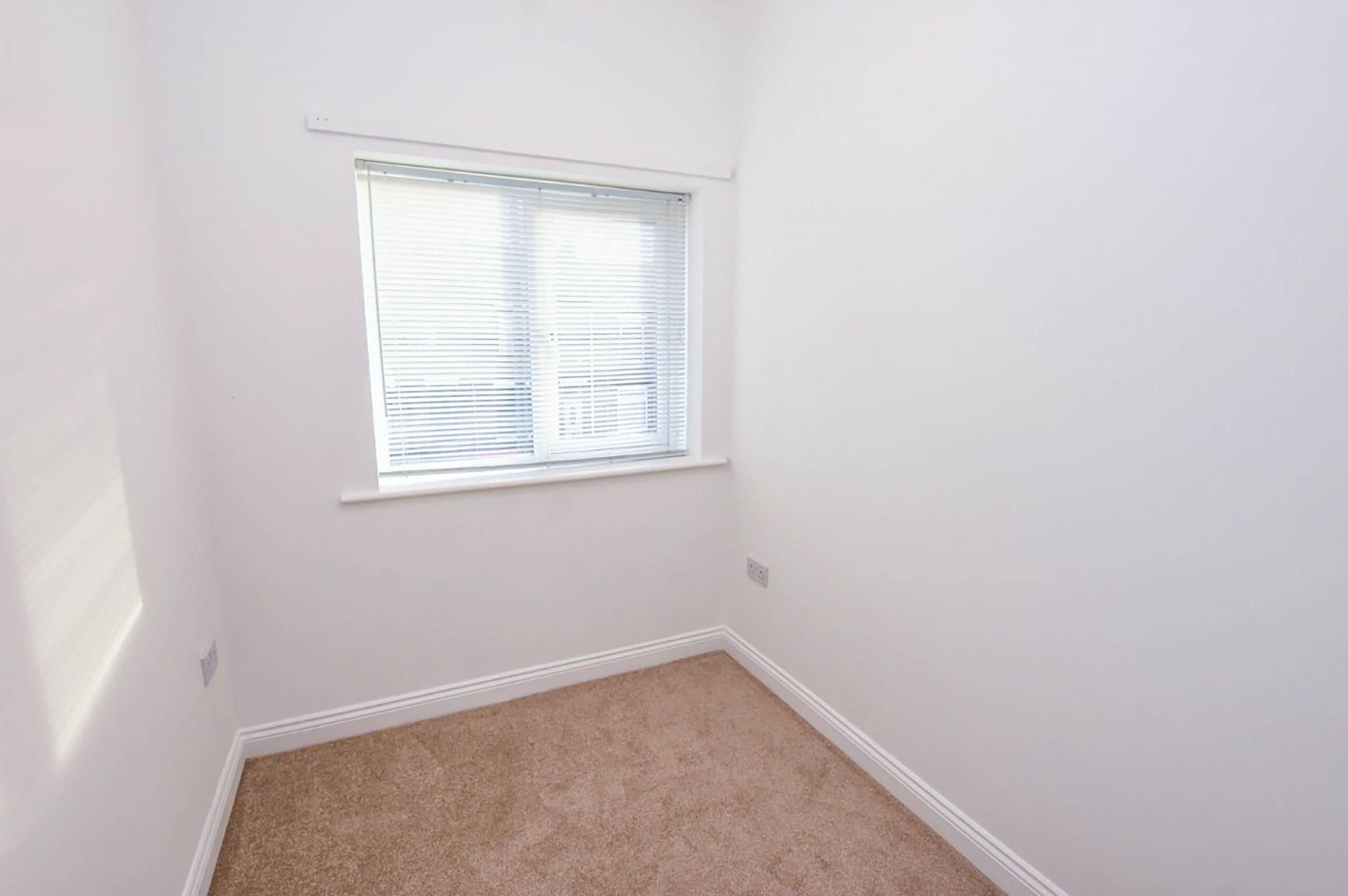 Woodhouse Lane, Springfield - VitalSpace