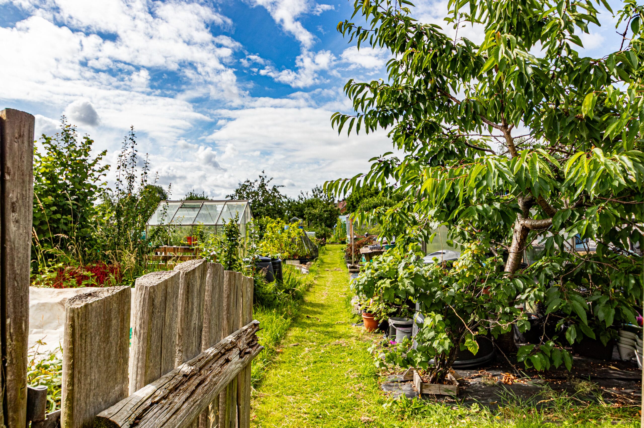 Windsor Avenue, Flixton - VitalSpace