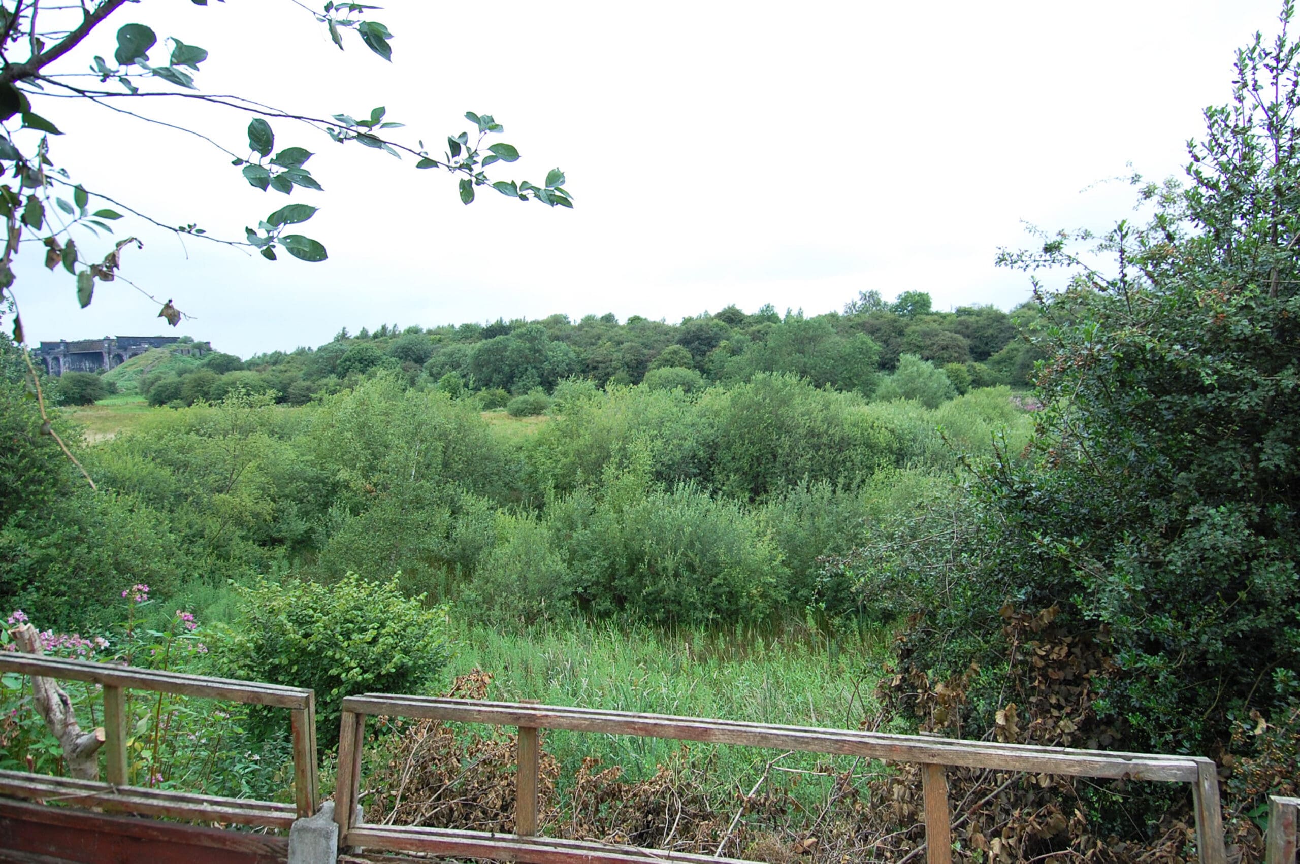 Orchard Avenue, Partington - VitalSpace